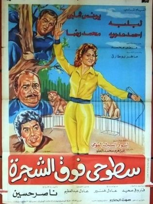 سطوحي فوق الشجرة